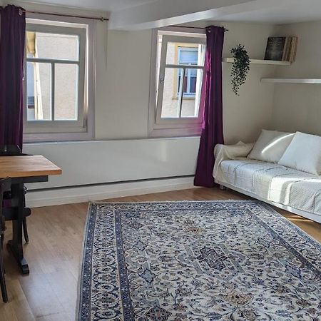 Lovely Oldtown-Appartment Bad Homburg vor der Höhe Eksteriør billede